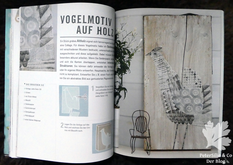 Collagen Clare Youngs Hauptverlag