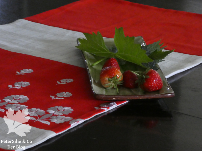 HackMyDirndlCoBRANDaWeihnachtsquilt PeterSilie & Co