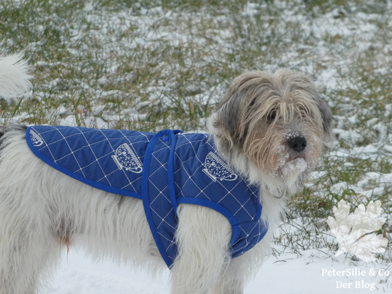 Hundemantel