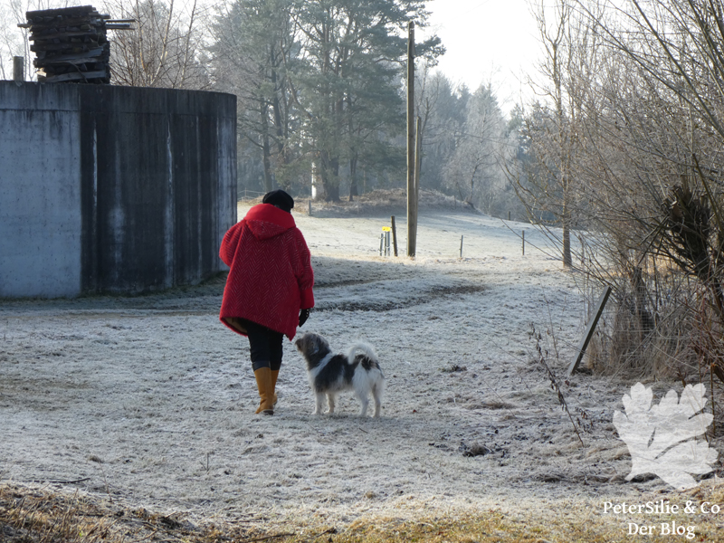 Mantel Nelly So!Pattern rot