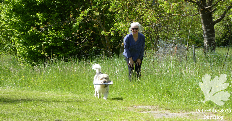 Bluse Carla So!Pattern