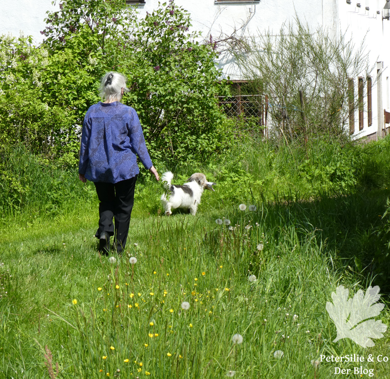 Bluse Carla So!Pattern