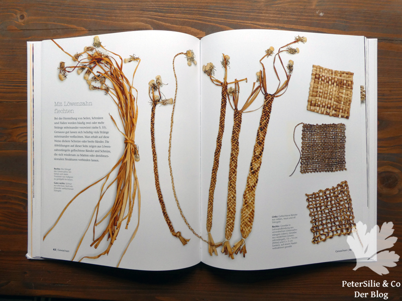 Wilde Fasern Alice Fox Haupt