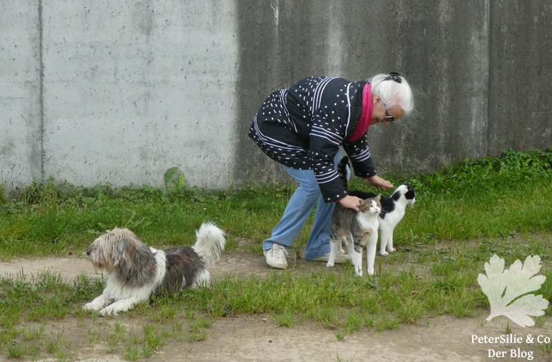 Windjacke Lotta So!Pattern