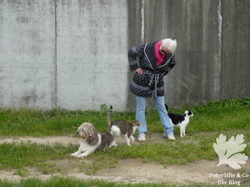 Windjacke Lotta So!Pattern