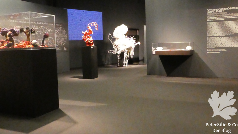 crochet coral reef linz schlossmuseum
