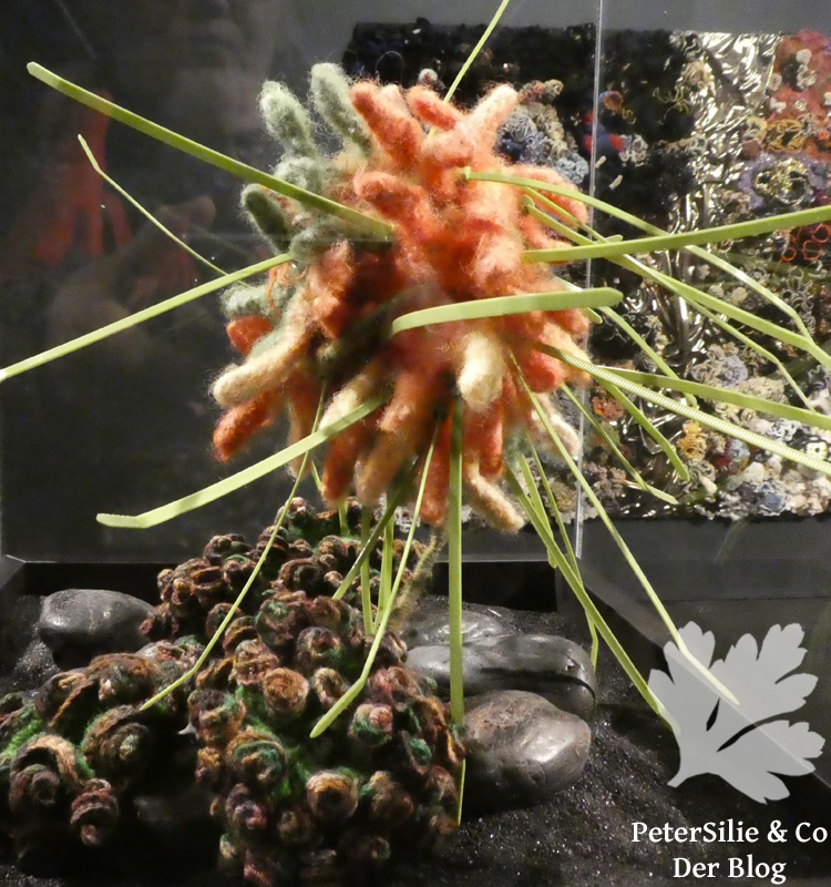 crochet coral reef linz schlossmuseum