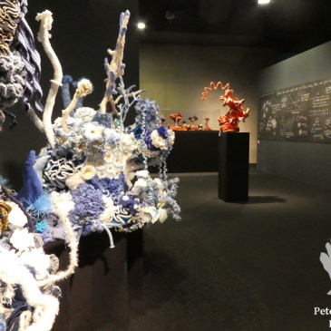 crochet coral reef linz schlossmuseum