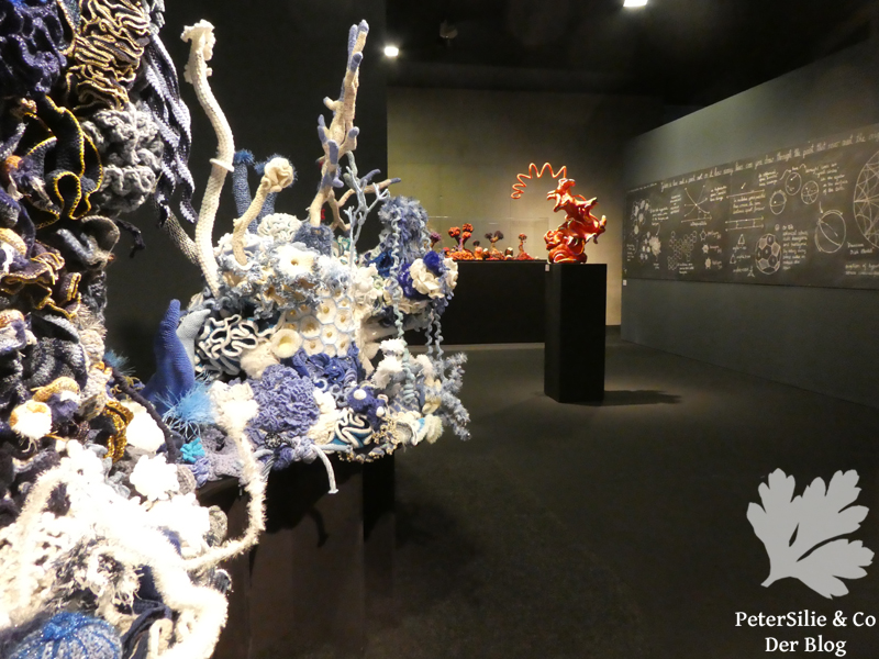 crochet coral reef linz schlossmuseum