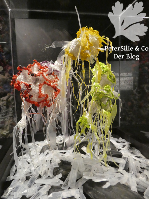 crochet coral reef linz schlossmuseum