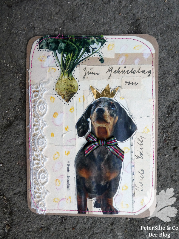 Collage Silvia hundegeburtstag