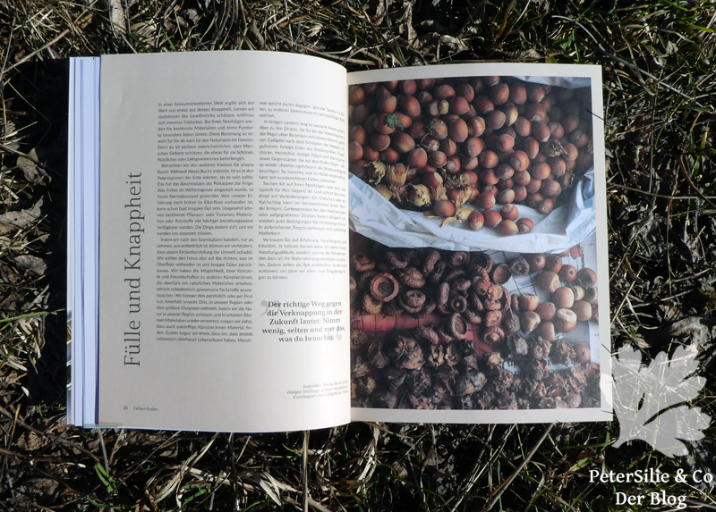 Wilde Farben Caroline Ross Haupt