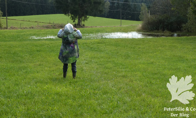 parka burda 2 2024 duschvorhang