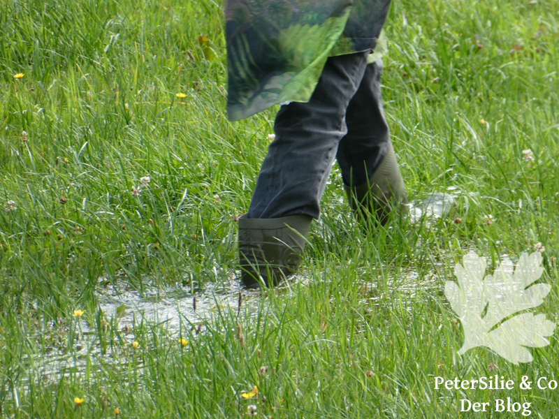 parka burda 2 2024 duschvorhang