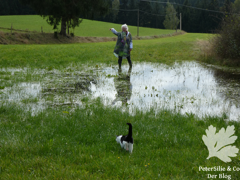 parka burda 2 2024 duschvorhang