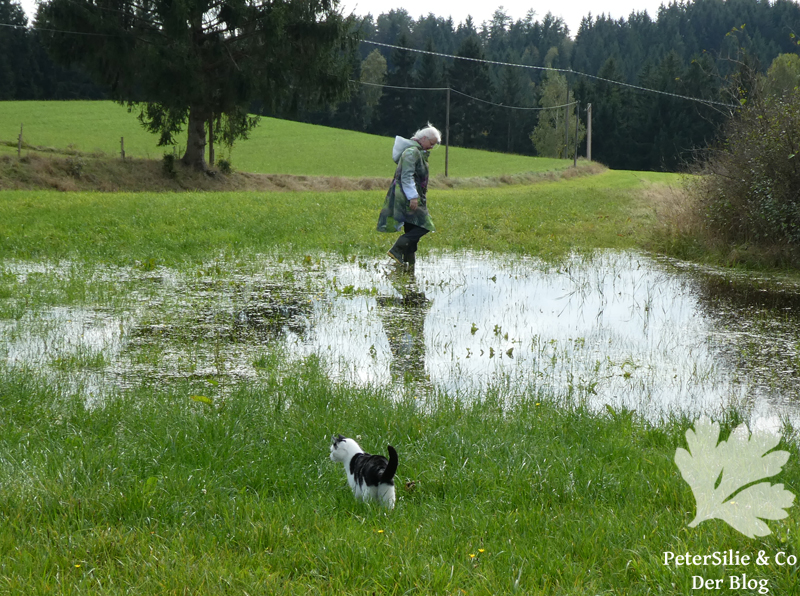 parka burda 2 2024 duschvorhang