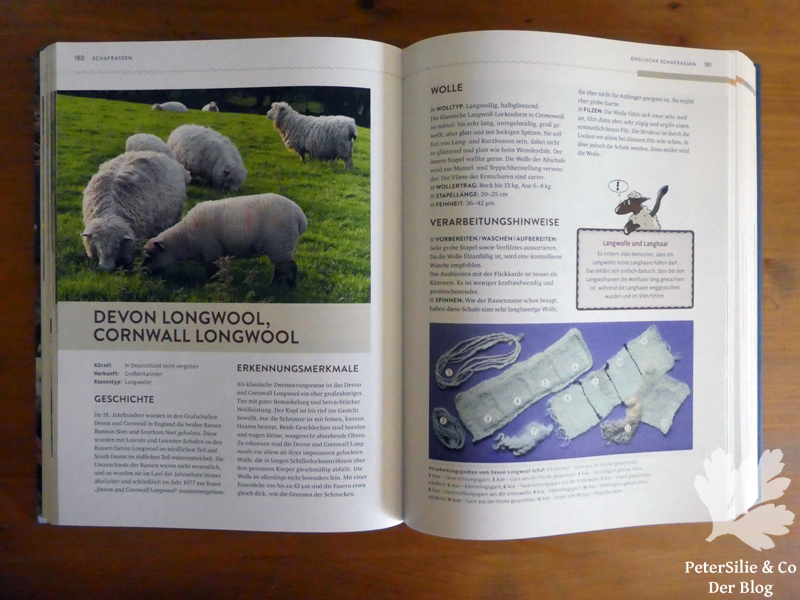 Schafwolle verarbeiten Röhn Sonnemann Claßen Büttner Ulmer