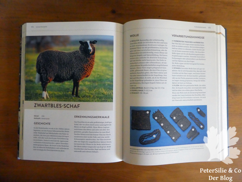 Schafwolle verarbeiten Röhn Sonnemann Claßen Büttner Ulmer