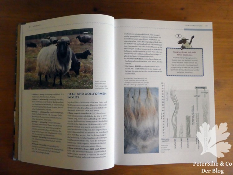 Schafwolle verarbeiten Röhn Sonnemann Claßen Büttner Ulme
