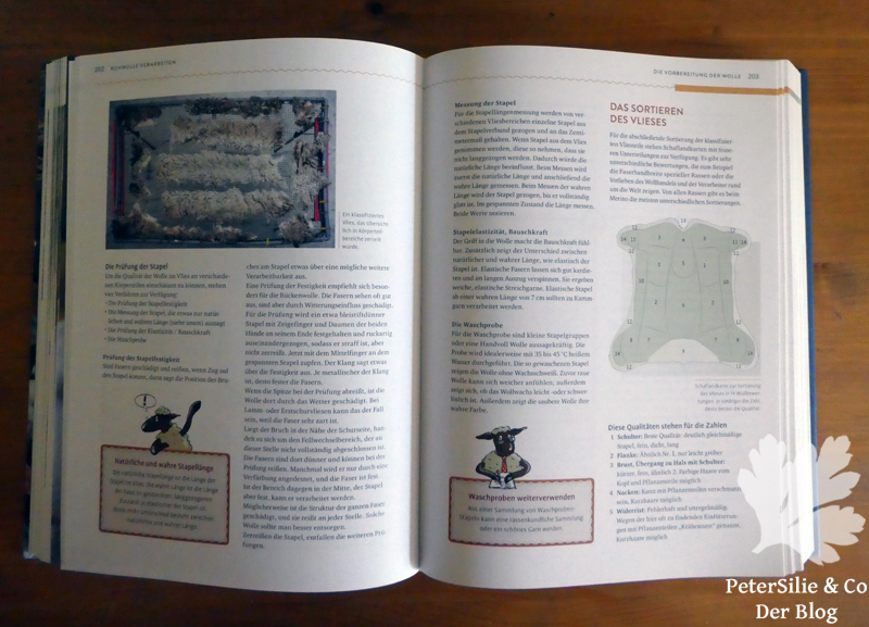 Schafwolle verarbeiten Röhn Sonnemann Claßen Büttner Ulmer