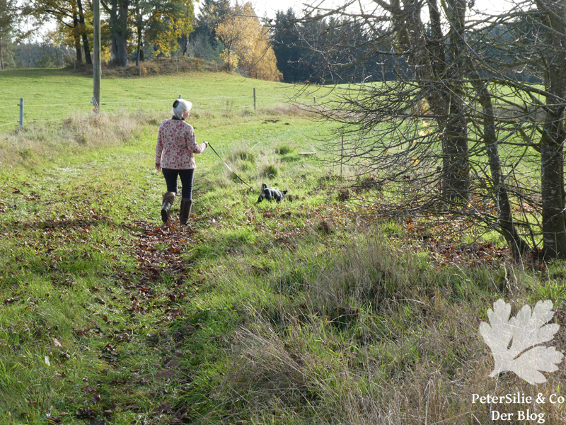 Anna extra 266 Jacke Seidra