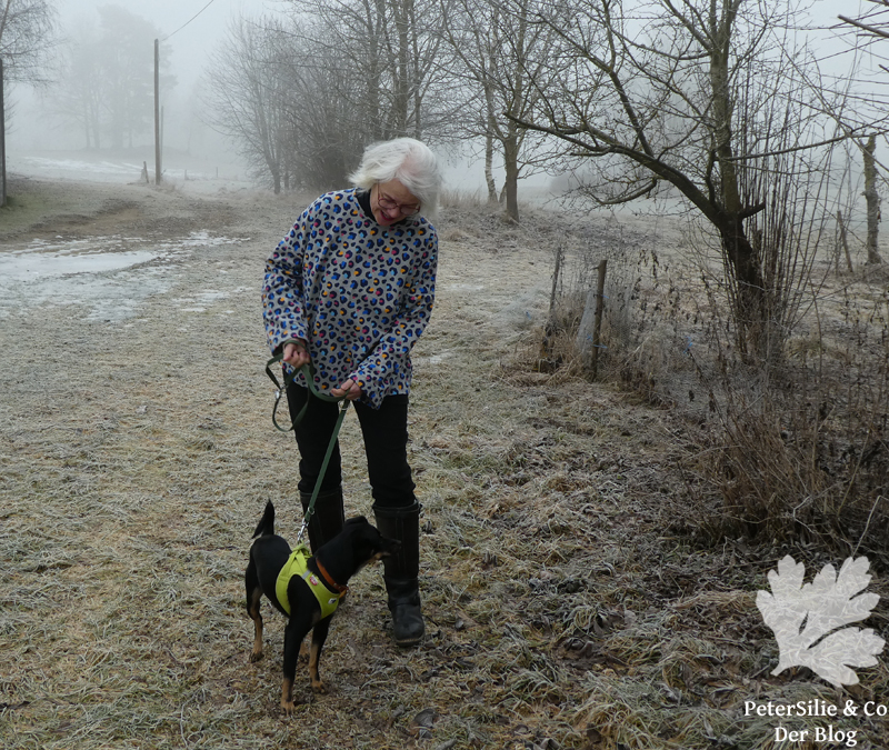 Burda 1 2025 Modell 107