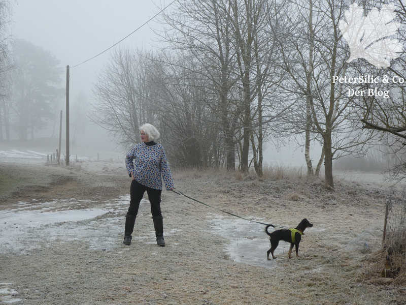 Burda 1 2025 Modell 107