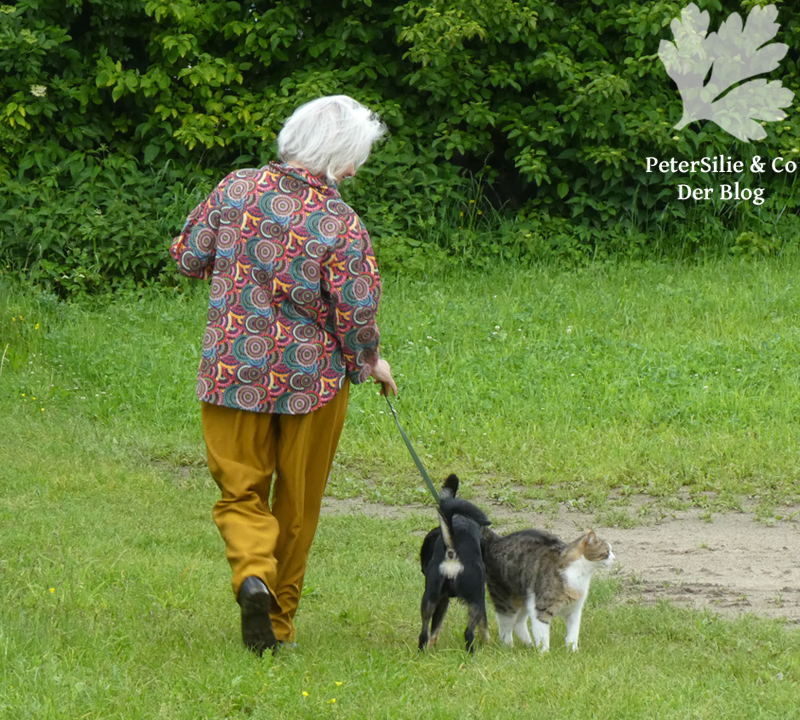 Shirt 106 Burda10/2022 Aborigine karlotta Pink